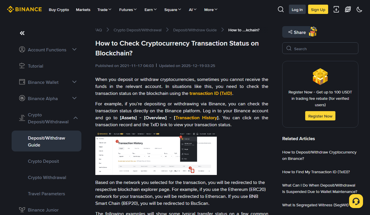 币安公开链上状态说明。先核对查询的是哪条网络,再按原文查状态;此图不对应读者的交易。